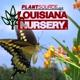 Louisiana Nursery