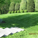 Greener Lawns - Landscaping & Lawn Services