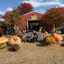Russell Farms Pumpkin Patch - Farms