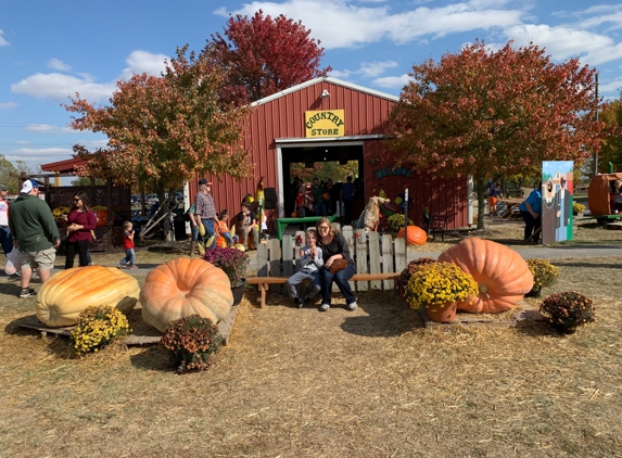 Russell Farms Pumpkin Patch - Noblesville, IN