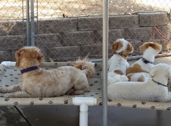 The Dog Biscuit Inn - Poway, CA