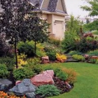 Suburban Landscape Management