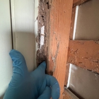 Reliable termite solutions