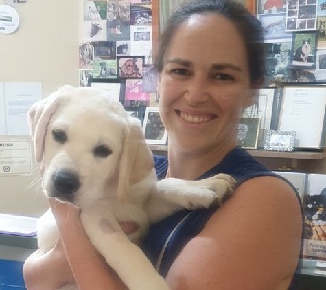 Marius Small Animal Veterinary Clinic - Tamworth, NSW
