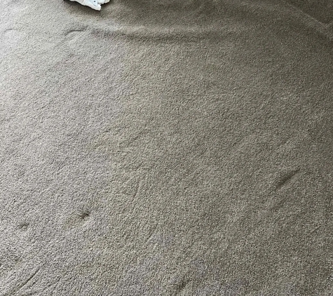 DecoRug Carpet Cleaning - Auburn, NSW