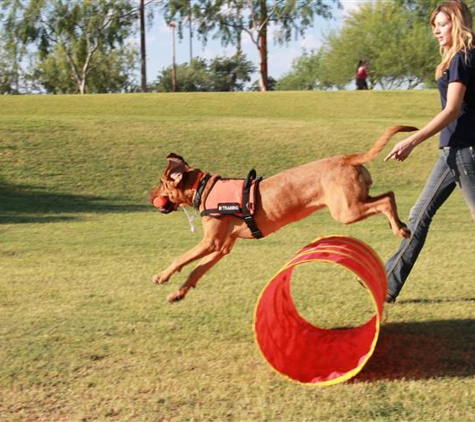 Dog Training Elite - Queen Creek, AZ