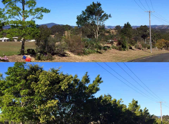 Manning Great Lakes Elite Tree Service - Wingham, NSW