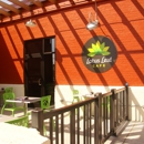 Lotus Leaf Cafe - Restaurants