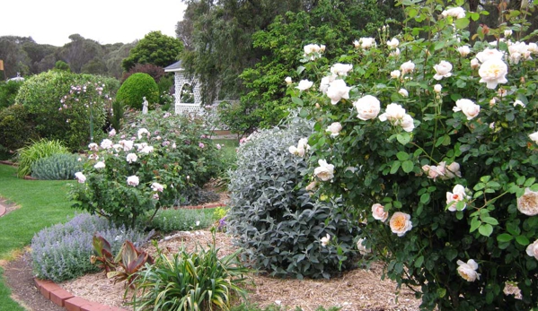 West Coast Funerals - Coomunga, SA. Looking towards the gazebo.