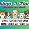 Petsense by Tractor Supply gallery