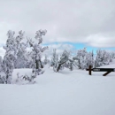 Barton Medical Clinic at Heavenly Mountain Resort - Resorts