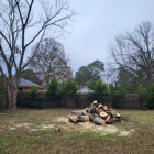 Perry Land and Tree