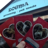 Dogma Grooming & Pet Needs gallery