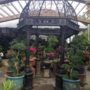 Perfect Choice Nursery - Flowers, Plants & Trees-Silk, Dried, Etc.-Retail