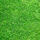 Artificial Grass by Design - Landscape Designers & Consultants