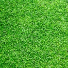 Artificial Grass by Design