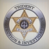 Trident Protection & Investigations gallery