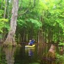 The Paddling Center at Shingle Creek - Picnic Grounds