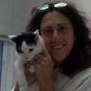 Cat Care Clinic of The Nyacks - Veterinary Clinics & Hospitals