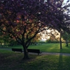 Father Hennepin Bluffs Park gallery