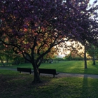 Father Hennepin Bluffs Park