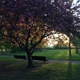 Father Hennepin Bluffs Park