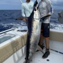 Florida Offshore Fishing Company - Fishing Charters & Parties