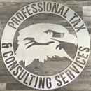 Professional Tax & Consulting Services - Taxes-Consultants & Representatives