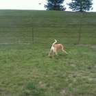 Red Oaks Dog Park