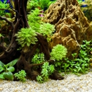 Southwest Seas - Aquariums & Aquarium Supplies