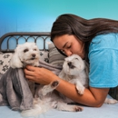 Pet Paradise Wilmington - Hostels