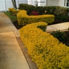 Lawnscapes of South Florida gallery