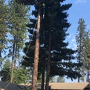 Norcrest Tree Service - Tree Service