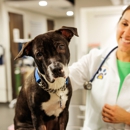 Pure Paws Veterinary Care of Hell's Kitchen - Veterinarians