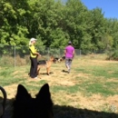 Holidays Dog Boarding - Pet Sitting & Exercising Services