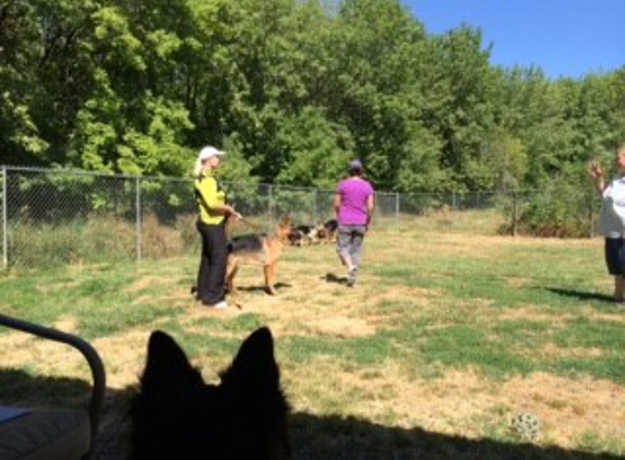 Holidays Dog Boarding - Salem, OR. Special dog training lessons