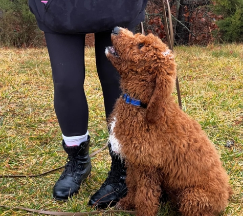 Krushk9 Dog Training Atlantic County