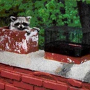 Chimney,Total - Chimney Caps