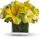 Aebersold Florist - Florists