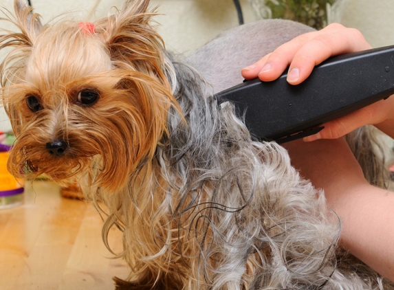 Diane Grooming - Northfield, NJ