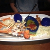 Red Lobster gallery