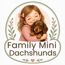 Family Mini Dachshunds - Pet Breeders