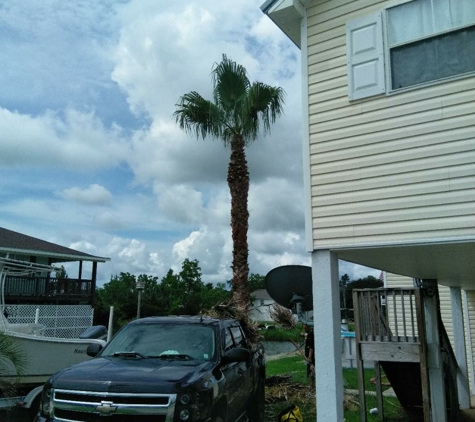 Climbing High Tree Specialists, LLC - Biloxi, MS