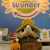 World of Wonder gallery