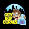 City Boy Corals & Aquarium servicing gallery