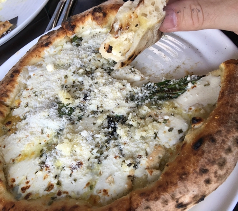 MidiCi The Neapolitan Pizza Company - Sherman Oaks, CA