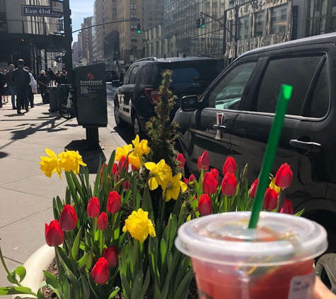 Starbucks Coffee - New York, NY