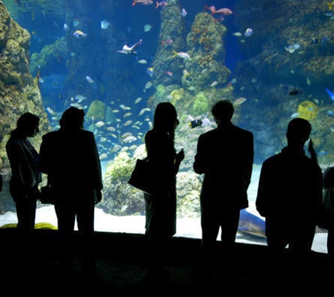 Downtown Aquarium - Denver, CO