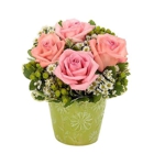 Awesome Blooms flowers & gifts