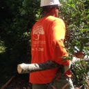 Southern Touch Tree Service, LLC - Arborists